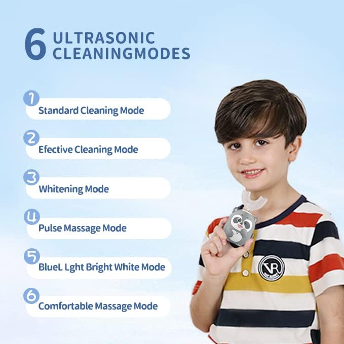 Gray Raccoon (Age 2-7) - 360 UltraSonic Electric Toothbrush